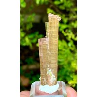 Natürlicher Bi Color Twin Turmalin Kristall Aus Der Chakpu Mine Shigar Skardu Pakistan, 35 Ct Natürlicher Bi Color Twin Turmalin Kristall Aus Der Chakpu Mine Shigar Skardu Pakistan, 35 Ct von ROYALMINERALSHOP