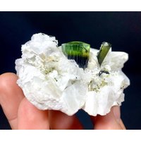 Natürlicher Grüner Kappen Turmalin Mit Muskovit Aus Der Stak Nala Mine Skardu Pakistan 490 Ct Natürlicher Grüner Kappen Turmalin Mit Muskovit Aus Der Stak Nala Mine Skardu Pakistan 490 Ct von ROYALMINERALSHOP