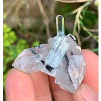 Himmelblauer Aquamarin Mit Quarz, Shigar Mine Pakistan Himmelblauer Aquamarin Mit Quarz, Shigar Mine Pakistan von ROYALMINERALSHOP