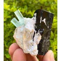 Natürlicher Himmelblauer Zwillings-Aquamarin Mit Schwarzem Turmalin Aus Der Shigar-Mine Skardu Pakistan 455 Ct von ROYALMINERALSHOP
