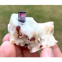 Natürlicher Mehrfarbiger Turmalin Mit Rotem Granat Aus Der Chamachu Mine Shengus Rhundu Skardu Pakistan. 117 Kt Natürlicher Mehrfarbiger Turmalin Mit Rotem Granat Aus Der Chamachu Mine Shengus Rhundu Skardu Pakistan. 117 Kt von ROYALMINERALSHOP