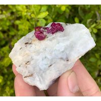 Natürlicher Roter Blut Rubin Auf Feldspat Aus Dem Nagar Tal Gilgit Pakistan. 113 Gramm Natürlicher Roter Blut Rubin Auf Feldspat Aus Dem Nagar Tal Gilgit Pakistan. 113 Gramm von ROYALMINERALSHOP