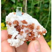 Natürlicher Transparenter Aquamarin Mit Orangefarbenen Granatkristallen Auf Feldspat Aus Der Shigar Mine Skardu Pakistan 265 Ct von ROYALMINERALSHOP