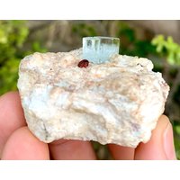 Roher Aquamarin Mit Rotem Granat Auf Feldspat Skardu Pakistan Kristall | 313 Ct von ROYALMINERALSHOP