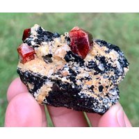 Roter Zirkon Mit Schwarzem Muskovit, Skardu Pakistan | 290 Ct von ROYALMINERALSHOP