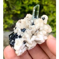 Schlichter Himmelblauer Aquamarin Mit Turmalin & Muskovit Aus Der Shigar Mine in Skardu Pakistan. 320 Kt Schlichter Himmelblauer Aquamarin Mit Turmalin & Muskovit Aus Der Shigar Mine in Skardu Pakistan. 320 Kt von ROYALMINERALSHOP