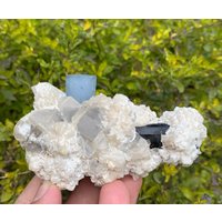 Tiefblauer Aquamarin Mit Turmalin & Quarz Aus Der Shengus Mine, Rhoundu Skardu Pakistan 268 Gramm, Größe 62 X 97 59 Mm von ROYALMINERALSHOP