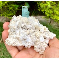 Top Himmelblauer Aquamarin Mit Topas & Muskovit Aus Der Shengus Mine Skardu Pakistan/Natürliches Mineral. 218 Gramm Top Himmelblauer Aquamarin Mit Topas & Muskovit Aus Der Shengus Mine Skardu Pakistan/Natürliches Mineral. 218 Gramm von ROYALMINERALSHOP