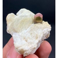 Tricolor Turmalin Mit Muskovit & Albit Aus Der Stak Nala Mine Rhoundu Shenhus Skardu Pakistan/Natürliches Mineral 285 Ct Tricolor Turmalin Mit Muskovit & Albit Aus Der Stak Nala Mine Rhoundu Shenhus Skardu Pakistan/Natürliches Mineral 285 Ct von ROYALMINERALSHOP