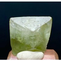 Weltseltener Apfelgrüner Herderit-Kristall Aus Der Shigar-Mine Skardu Pakistan. 35 Kt Weltseltener Apfelgrüner Herderit-Kristall Aus Der Shigar-Mine Skardu Pakistan. 35 Kt von ROYALMINERALSHOP