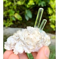 Zwillings Aquamarin Transparent Mit Muskovit Aus Der Shengus Mine Skardu Pakistan/Natürliches Mineral. 280 Kt Zwillings Aquamarin Transparent Mit Muskovit Aus Der Shengus Mine Skardu Pakistan/Natürliches Mineral. 280 Kt von ROYALMINERALSHOP