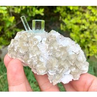 Zwillings Aquamarin Himmelblau Mit Muskovit, Shigar Mine Pakistan Zwillings Aquamarin Himmelblau Mit Muskovit, Shigar Mine Pakistan von ROYALMINERALSHOP