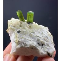 Zwillings-Turmalin | Grüne Kappe Mit Quarz Aus Der Stak Nala Mine Skardu Pakistan. 405 Kt Zwillings-Turmalin | Grüne Kappe Mit Quarz Aus Der Stak Nala Mine Skardu Pakistan. 405 Kt von ROYALMINERALSHOP