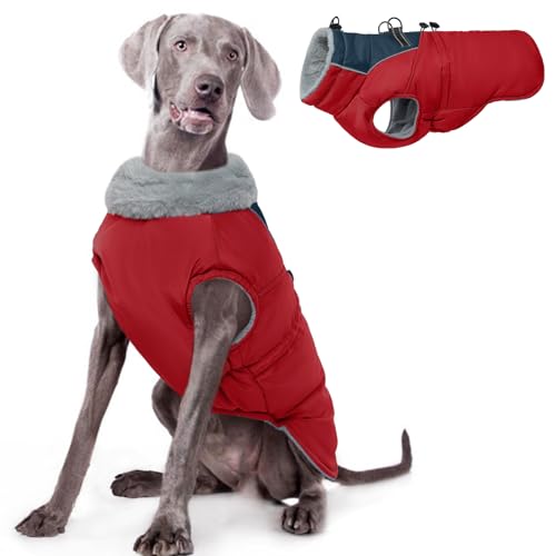 ROZKITCH Hundejacke für kaltes Wetter, Hundemantel für Herbst und Winter mit Rollkragen, Haustierkleidung mit verstellbaren Schnallen, weiche, warme Haustierkleidung mit reflektierendem Streifen für ROZKITCH Hundejacke für kaltes Wetter, Hundemantel für Herbst und Winter mit Rollkragen, Haustierkleidung mit verstellbaren Schnallen, weiche, warme Haustierkleidung mit reflektierendem Streifen für von ROZKITCH