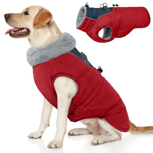 ROZKITCH Hundejacke für kaltes Wetter, Hundemantel für Herbst und Winter mit Rollkragen, Haustierkleidung mit verstellbaren Schnallen, weiche, warme Haustierkleidung mit reflektierendem Streifen für von ROZKITCH