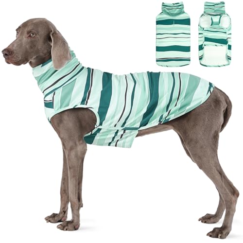 ROZKITCH Hundepullover für große Hunde, Winterpullover mit Loch für die Leine, warmes Sweatshirt mit hohem Halsausschnitt für französische Bulldoggen, leicht und bequem, Größe M und L, Blau gestreift ROZKITCH Hundepullover für große Hunde, Winterpullover mit Loch für die Leine, warmes Sweatshirt mit hohem Halsausschnitt für französische Bulldoggen, leicht und bequem, Größe M und L, Blau gestreift von ROZKITCH