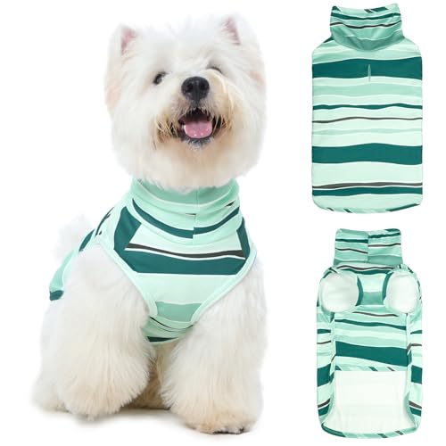 ROZKITCH Hundepullover für kleine, mittelgroße Hunde, männlich, Jungen, Mädchen, weicher, dehnbarer Rollkragenpullover mit Loch für die Leine, warmer Wintermantel für mittelgroße Hunde, gestreift ROZKITCH Hundepullover für kleine, mittelgroße Hunde, männlich, Jungen, Mädchen, weicher, dehnbarer Rollkragenpullover mit Loch für die Leine, warmer Wintermantel für mittelgroße Hunde, gestreift von ROZKITCH