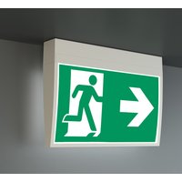 RP-Technik LED-Rettungszeichenleuchte SC, 3h, Piktoset KMU013SC von RP-TECHNIK GMBH