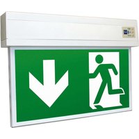 RP-Technik LED-Rettungszeichenleuchte SC, 3h, Piktoset KSU013SC von RP-TECHNIK GMBH