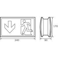 RP-Technik LED-Rettungszeichenleuchte Wireless, Piktoset KCD003WL von RP-TECHNIK GMBH