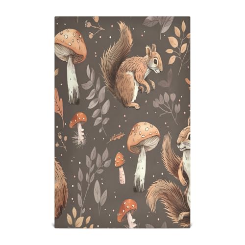 RPLIFE Geschirrtücher, Motiv: niedliche Eichhörnchen, Pilze, 71,1 x 45,7 cm, saugfähig, Küchentücher von RPLIFE