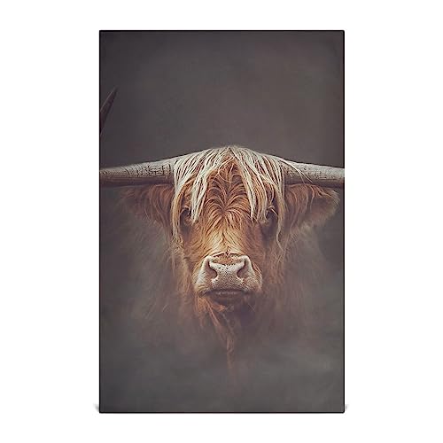 RPLIFE Highland Cow Küchentuch-Sets, 71,1 x 45,7 cm, saugfähige Geschirrtücher für Küche, dekoratives Küchentuch-Set von RPLIFE