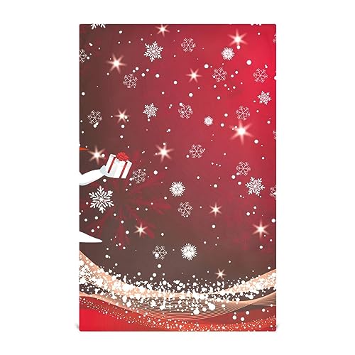 RPLIFE Weihnachtliches rotes Geschirrtücher-Set, 71,1 x 45,7 cm, saugfähig, Küchentuch, bedruckte Handtücher von RPLIFE
