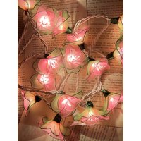 Handgefertigte Rosa Und Grüne Blumen Lichterkette Für Terrasse, Hochzeit, Party Dekoration, | 35 Ul Warme Lichter Handgefertigte Rosa Und Grüne Blumen Lichterkette Für Terrasse, Hochzeit, Party Dekoration, | 35 Ul Warme Lichter von RPLIGHT2024