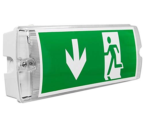 RR-NORD 5Watt Notleuchte LED IP65 Notleuchte, Notbeleuchtung, Rettungszeichenleuchte, Fluchtwegleuchte, Notlicht, Sicherheitsleuchte von RR-NORD