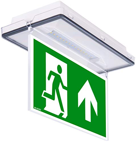 RR-NORD Notleuchte LED IP65 Decke Wand Notbeleuchtung Rettungszeichenleuchte Fluchtwegleuchte Notlicht Brandschutzzeichen Rettungszeichen (Pfeil nach oben) von RR-NORD