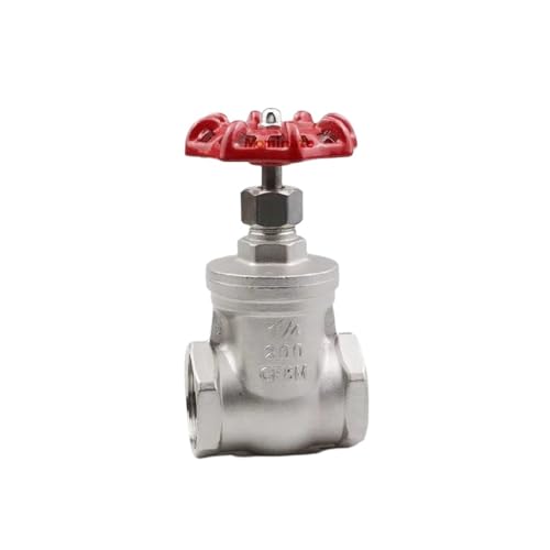 RRBXXUYN Stainless Steel Screwed Gate Valve 1/4" BSP Female Valve von RRBXXUYN