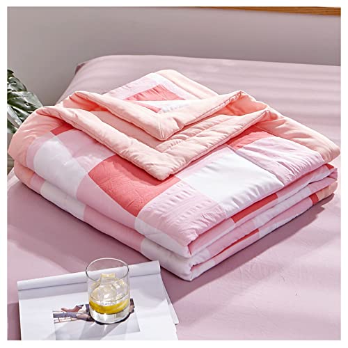 RRNAR Sommer Bettdecke aus Gewaschene Baumwolle, Dünne Steppdecke für Einzelbett, Wendedesign Sommerbettdecken ohne bezug nutzbar, Leichte & Weiche Sommerdecke,B,150x200cm RRNAR Sommer Bettdecke aus Gewaschene Baumwolle, Dünne Steppdecke für Einzelbett, Wendedesign Sommerbettdecken ohne bezug nutzbar, Leichte & Weiche Sommerdecke,B,150x200cm von RRNAR