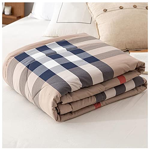 RRNAR Sommer Bettdecke aus Gewaschene Baumwolle, Dünne Steppdecke für Einzelbett, Wendedesign Sommerbettdecken ohne bezug nutzbar, Leichte & Weiche Sommerdecke,D,200x230cm RRNAR Sommer Bettdecke aus Gewaschene Baumwolle, Dünne Steppdecke für Einzelbett, Wendedesign Sommerbettdecken ohne bezug nutzbar, Leichte & Weiche Sommerdecke,D,200x230cm von RRNAR