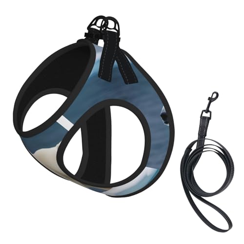 Hundegeschirr und Leine, Set mit Eisbär-Aufdruck, weiches Netzgewebe, reflektierend, atmungsaktiv, leicht, Westenstil von RRSZCC