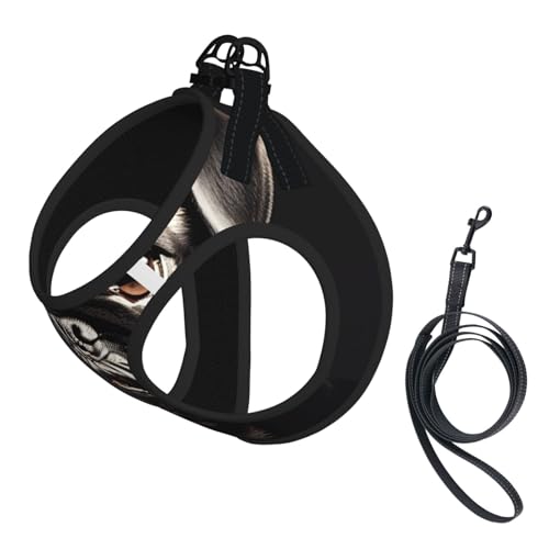 Hundegeschirr und Leine, Set mit süßem Mops-Motiv, weiches Netzgewebe, reflektierend, atmungsaktiv, leicht, Schwarz Hundegeschirr und Leine, Set mit süßem Mops-Motiv, weiches Netzgewebe, reflektierend, atmungsaktiv, leicht, Schwarz von RRSZCC