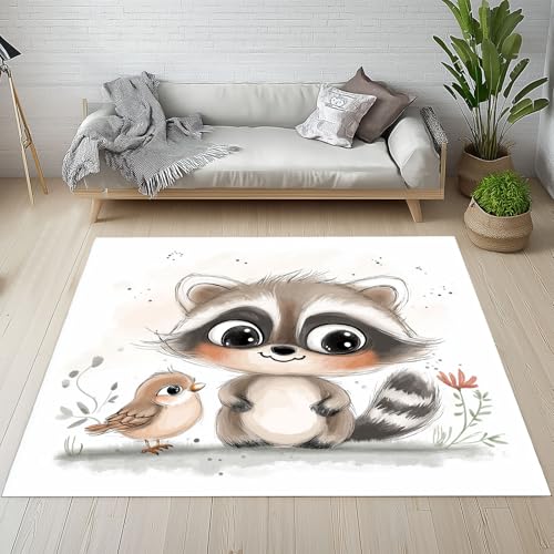RRUxiia Kleiner Teppich Weich 60x90cm Karikatur Waschbär Fußmatte Outdoor Niedlich Vögel Tier Teppich Waschbarer Anti Rutsch Matte Für Badezimmer Innen Und Außentüren Eingang von RRUxiia