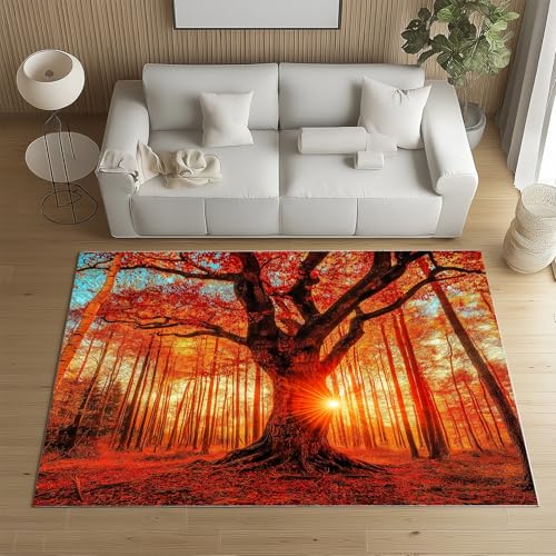 RRUxiia Teppich Wohnzimmer 160x230cm Dschungel Herbst Baum Rugs for Living Room Sonne Sonnenlicht Landschaft Teppich Waschbarer rutschfest Weich Schlafzimmer Bettvorleger Kinderzimmer von RRUxiia