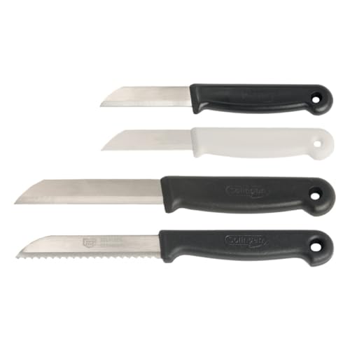 RSG Labormesser mit Schwarz Griff, Glatte Schneide, 85mm Klingenlänge, 10 Stück von RSG