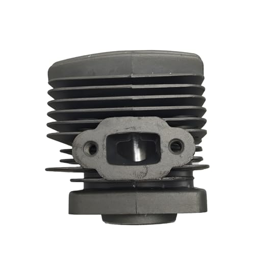 34mm Heckenzylinder-Kolbensatz Passend for TL26/CG260 1E34F Freischneider Gras Gartengeräte(Cylinder) von RSIGAVEK