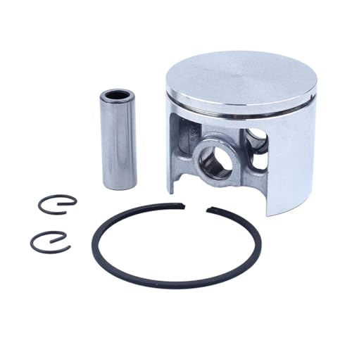 50mm Kolbenringkäfigsatz Passend for 266 XP 266XP 268 Spezialkettensägenmotor Motorteile 501659403 50mm Kolbenringkäfigsatz Passend for 266 XP 266XP 268 Spezialkettensägenmotor Motorteile 501659403 von RSIGAVEK