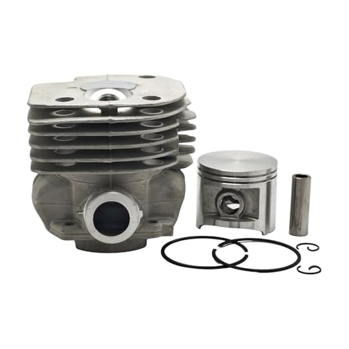 50mm Zylinderkolbenringe-Kit passend for 365 371 372 372XP 362 371K 2065 2071 2165 2171 50mm Zylinderkolbenringe-Kit passend for 365 371 372 372XP 362 371K 2065 2071 2165 2171 von RSIGAVEK