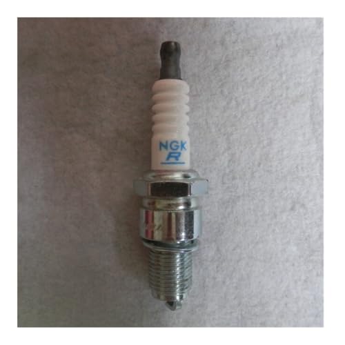 BPR6ES ZÜNDKERZE F6RTC Fit for G100 GXV120 GXV140 GXV160 GCV135 160190 GS160 GSV GX110 GX620 & MEHR W20EPR-U(2 PCS PER Lot) von RSIGAVEK