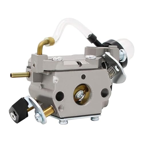 C1U-W49B Vergaser Passend for C1U-W49 C1UW49B C1UW49 577135901 577135902 967184401 K056704 577135701 2(Silver) von RSIGAVEK