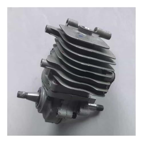 Cs-2511tes Short Block Fit for 251ts Cs2100 25,4 cc Säge Zylinder Kolben Pan Kurbelwelle Kurbelgehäuse Set(CN Quality Block) von RSIGAVEK