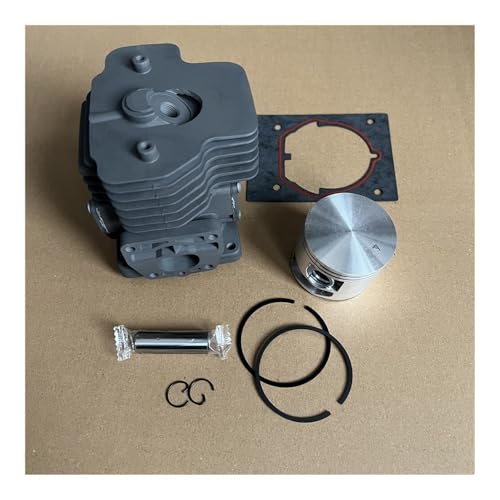 EB880 ZYLINDERKOLBENDICHTUNGSSATZ 53mm Passend for PB-8010 PB-9010 PB-7910 EB910 79CC GEBLÄSE OEM P100012460 von RSIGAVEK