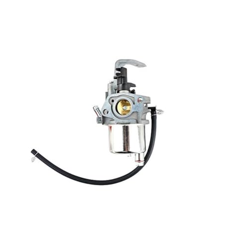 LCT 03021 Vergaser Passend for 03021 03022 (208CC GEN I SCHNEEMOTOR) GEBLÄSE-Vergaser(Silver) von RSIGAVEK