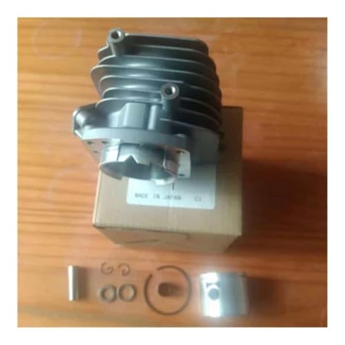 ORIGINAL/QUALITÄT 251TS Zylinder KOLBEN KIT 35MM P021051920 Fit for 251TSC CS-2511TES CS2100 2511 25CC Ring PIN Clips(Original Cyl. Kit JP) von RSIGAVEK