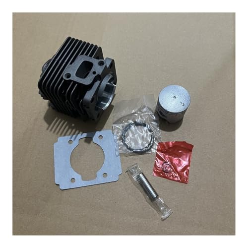 Passend for CG260 1E34F Freischneider Grasheckenzylindersatz Durchmesser 34 mm Passend for CG260 1E34F Freischneider Grasheckenzylindersatz Durchmesser 34 mm von RSIGAVEK