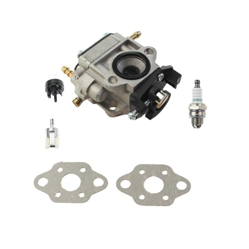 Vergaser WYJ-345 Passend for RBCGM25SS RGCGM25BB RLTGM25CS GM254SL RLT254FCDSN RLT254FSDSN WYJ-345 von RSIGAVEK