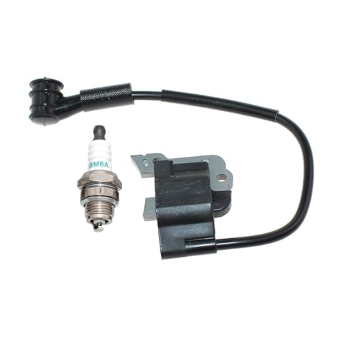 Zündspule passend for T231XB T260 T261 T261B M230 M231 F230 T-250 C-250 C230 F21 T230 T230X T230XR T231 C230PT P230S Zündspule passend for T231XB T260 T261 T261B M230 M231 F230 T-250 C-250 C230 F21 T230 T230X T230XR T231 C230PT P230S von RSIGAVEK